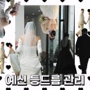 역삼-1325 | 강남 등드름압출전문 라엘보떼｜예비신부 등 여드름 압출 관리 후기