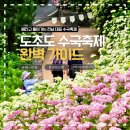 편*현 - 안양시 동안구 동편로 80 | 편*현