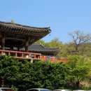 개신사 네이버블로그