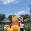 대전 디즈니 곰돌이 푸 100주년 팝업 스토어 푸크닉