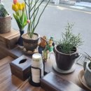 정가네잔치국수 이미지