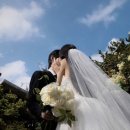 모노크롬하우스그리너리룸 | 베리굿 웨딩플래너 상담 후기 | 스드메 계약 완료! (글렌하우스 · 로즈로사 · 에이바이봄)