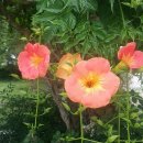 수난의 극복에 대한 이야기 이미지