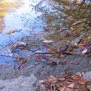 문흥1동 주민센터 이미지