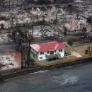 빨간지붕 이미지