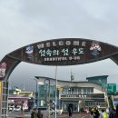 봉수대 해수욕장 | [제주도] 제주도 우도 당일치기 일정 및 후기 #1 (우도 고고씽, 산호해수욕장, 봉수대, 하고수동해수욕장)