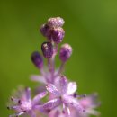 한강시민공원(자연학습장) 이미지