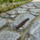 1공단로6길-8 이미지