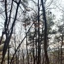 세인트빈 노은점 이미지