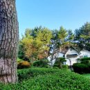 백화원리조트 이미지