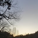 뜨는 돌 이미지