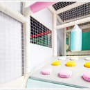 무주센트럴리조트&스파 이미지