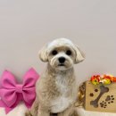 멍더랜드 이미지