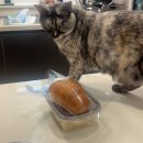 그루밍원투 이미지