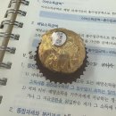 2024년 61회 세무사 2차 후기(11개월차 동차에서 유예로^^)