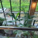 라라보타닉(LaLa Botanic) 이미지