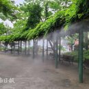 엄사중앙어린이공원 이미지