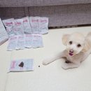 굿소프트 이미지