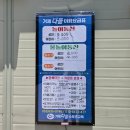 다올스포츠교육