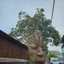 호스텔정중동 이미지