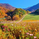 경부