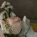 아웃도어 아르바이트 후기 | 부업 찾기 프로젝트