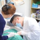 광명77플란트치과의원 이미지