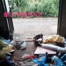 시골수정소 네이버블로그