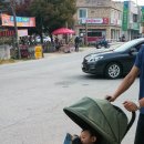 남일닭갈비 네이버블로그