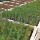 곰솔농장 이미지