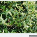 용수마을회관 이미지