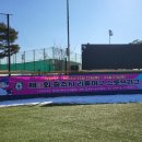 탄금야구장 야구장 이미지