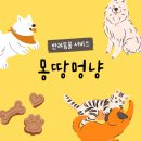청담-110 | 천안 몽땅멍냥 청담점 푸들 수제간식 사료 바꾸러 방문한 후기