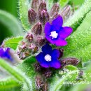 오늘의숲 이미지