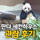 하우스랜드 | 에버랜드 판다 세컨하우스 후기｜루이바오 후이바오 시간대 꿀팁 대기시간 총정리