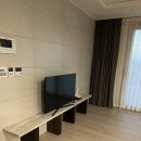 테라1207