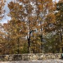 [거창 산중오토캠핑장] 숲속사이트 23번 / 가을 캠핑장 추천 / 단풍캠핑 🍂 / 대구 근교 캠핑장 / 명당...