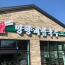 국수나무세종 이미지