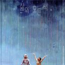 아이리사