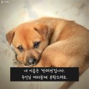 대우동물병원 이미지