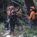 삼호교 화장실 이미지