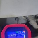 보수농장 | 일산 딸기농장 온수배관 누수 해결 사례