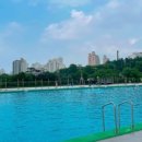 잠원야외수영장 | 잠원한강공원 야외수영장 방문 후기와 이용 안내