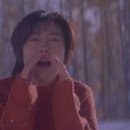 모두모아투어 이미지