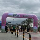 이충로 | 2026 평택시민 건강걷기대회 31주차 임산부 완주 후기