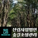 숲길법인 이미지