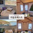 THE 숨 FOREST | 창원 마산 캠핑장 카라반 더숨포레스트 구산면 로봇랜드 근처 감성숙소 오션뷰 후기