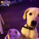 송도 숨게스트하우스 이미지