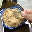 피자스쿨서남