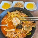 한스 강아지방 이미지